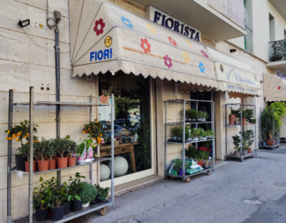 Ieri mattina, una banda di ladri ha derubato un negozio di fiori e vandalizzato diverse auto parcheggiate nella zona. I colpevoli non sono ancora stati identificati dalle forze dell’ordine. 